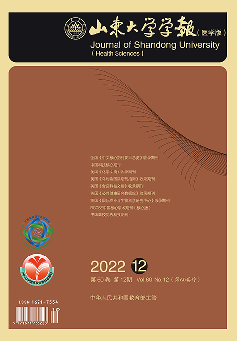 世俱杯,2025世俱杯官方用球